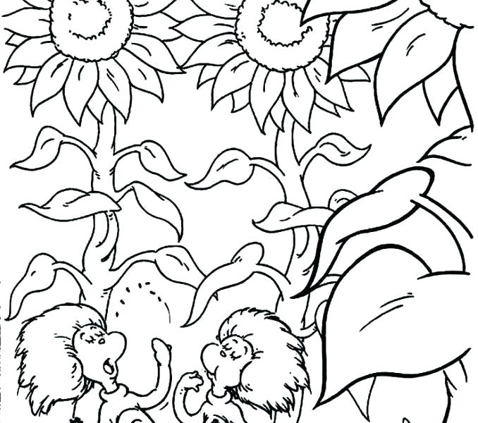 678x600 Thing 1 And Thing 2 Coloring Pages Green Eggs And Ham Coloring