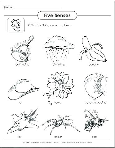 5 Senses Printable Coloring Pages Senses Coloring Pages Senses 371x479 5 Senses Printable Coloring Pages Senses Coloring Pages Senses