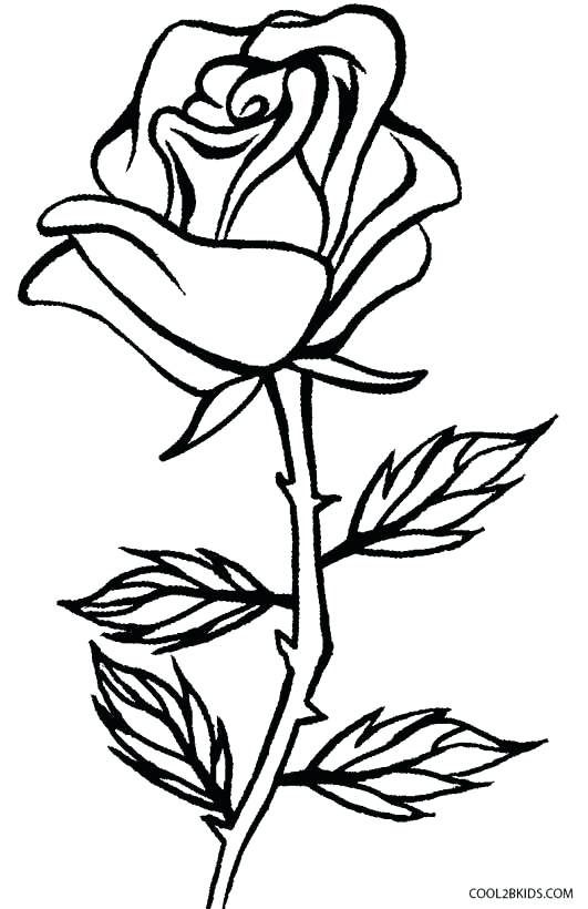 531x820 Hearts Roses And Full Of Thorn Coloring Page Color