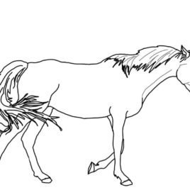 268x268 Thoroughbred Horse Coloring Page Archives