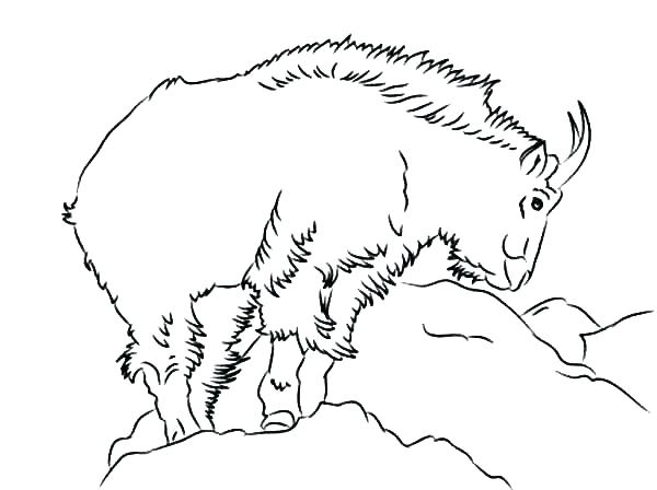 Three Billy Goats Gruff Coloring Pages at GetColorings.com | Free ...