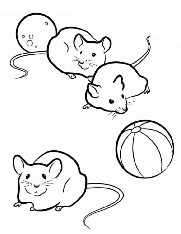 Three Mice In Guinea Pig Coloring Page Color Luna 600x775 Three Mice In Guinea Pig Coloring Page Color Luna