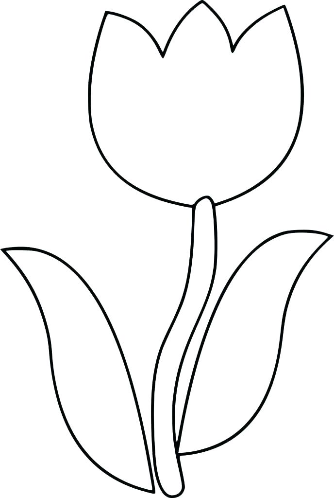 Three Leaf Clover Coloring Pages at GetColorings.com | Free printable ...