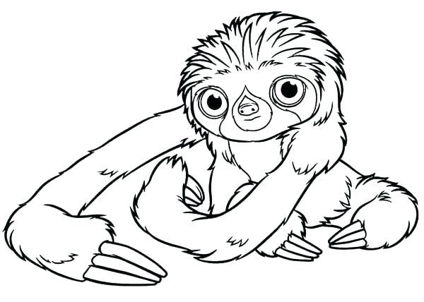 Sloth Coloring Page Sloth Coloring Page Two Toed Sloth Coloring 600x428 Sloth Coloring Page Sloth Coloring Page Two Toed Sloth Coloring