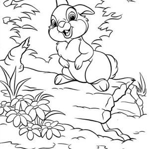 300x300 Bunnies, Thumper Waiting For Miss Bunny To Play Coloring Page