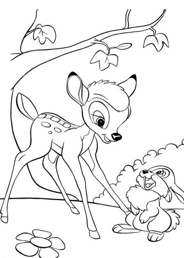 600x840 Drawn Bambi Thumper