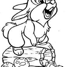 220x220 Thumper 10 Coloring Pages