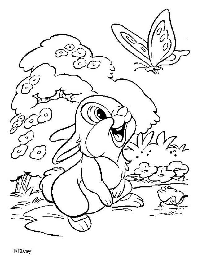 652x850 Thumper 7 Coloring Pages