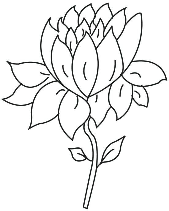 Lotus Outline Coloring Page Free Printable Coloring Pages Clip 551x687 Lotus Outline Coloring Page Free Printable Coloring Pages Clip