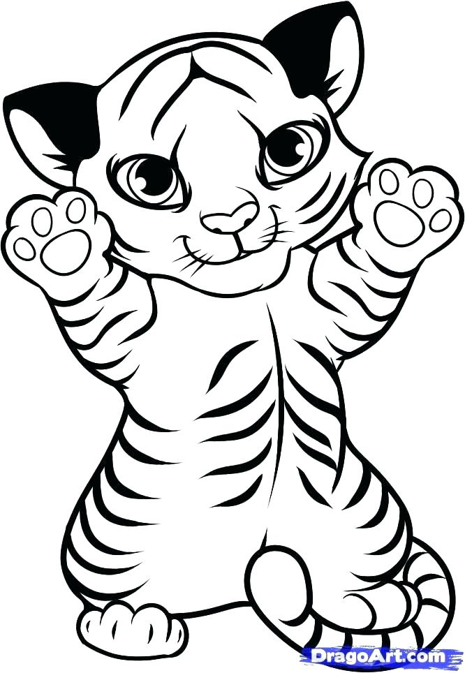 Tiger Coloring Cute Coloring Pages How To Draw A Baby Tiger Step 8 666x964 Tiger Coloring Cute Coloring Pages How To Draw A Baby Tiger Step 8