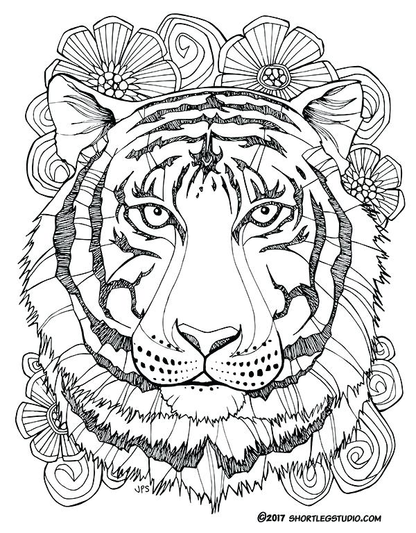 Tigers Coloring Pages Printable Tiger Coloring Page Baby Girl 600x767 Tigers Coloring Pages Printable Tiger Coloring Page Baby Girl