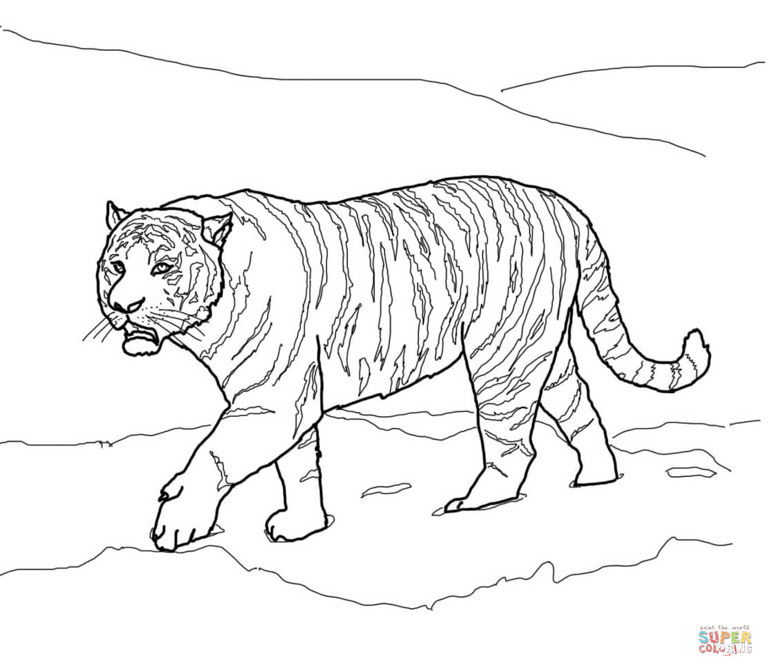 Tigers Coloring Pages Free Coloring Pages Tiger Coloring Page 1110x970 Tigers Coloring Pages Free Coloring Pages Tiger Coloring Page