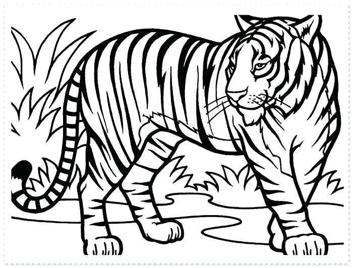 700x532 Free Tiger Coloring Pages Free Tiger Coloring Pages Tigers