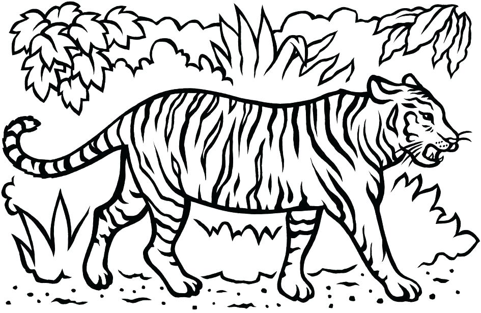 945x615 Tiger Coloring Page