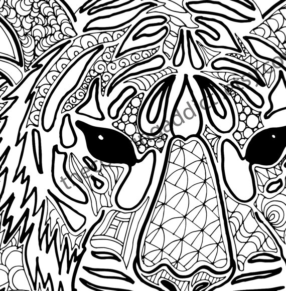 570x581 Tiger Coloring Pages Pdf Tiger Coloring Pages Tiger Coloring Pages