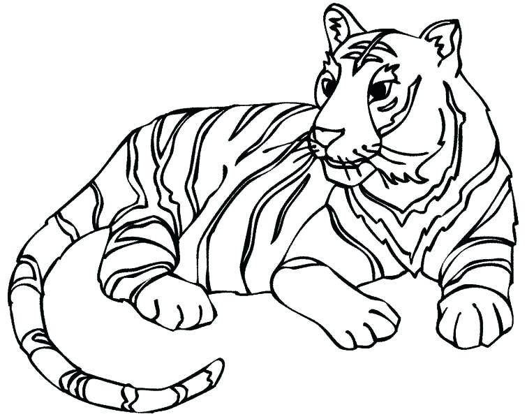 755x600 Tiger Coloring Pages Tigers Coloring Pages Free Tiger Coloring