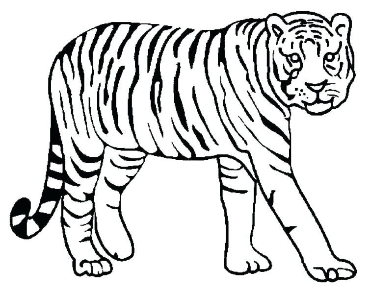 754x600 Printable Lion And Tiger Coloring Pages Printable Coloring
