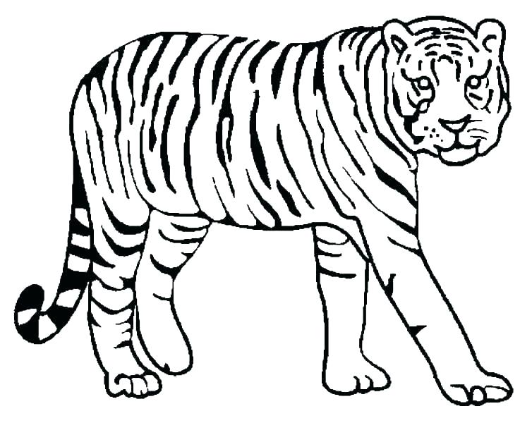 754x600 Printable Tiger Coloring Pages Printable Baby Tiger Coloring Pages