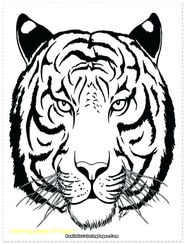 380x500 Tiger Coloring Pages Tigers For Preschool With Medium Size