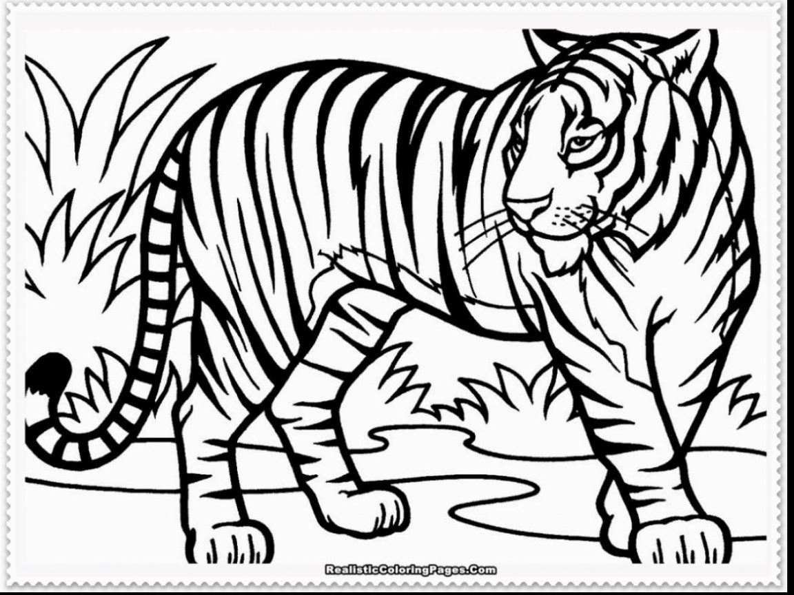 1152x864 Tiger Coloringages For Kids Mammals Tigers Cartoon Head Impressive