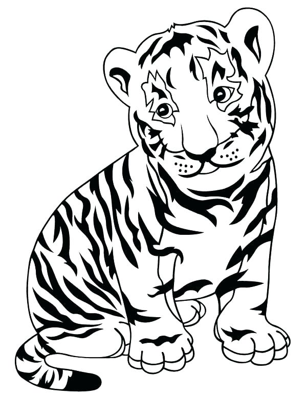 600x776 Tiger Without Stripes Coloring Page Zebra Coloring Page Adorable