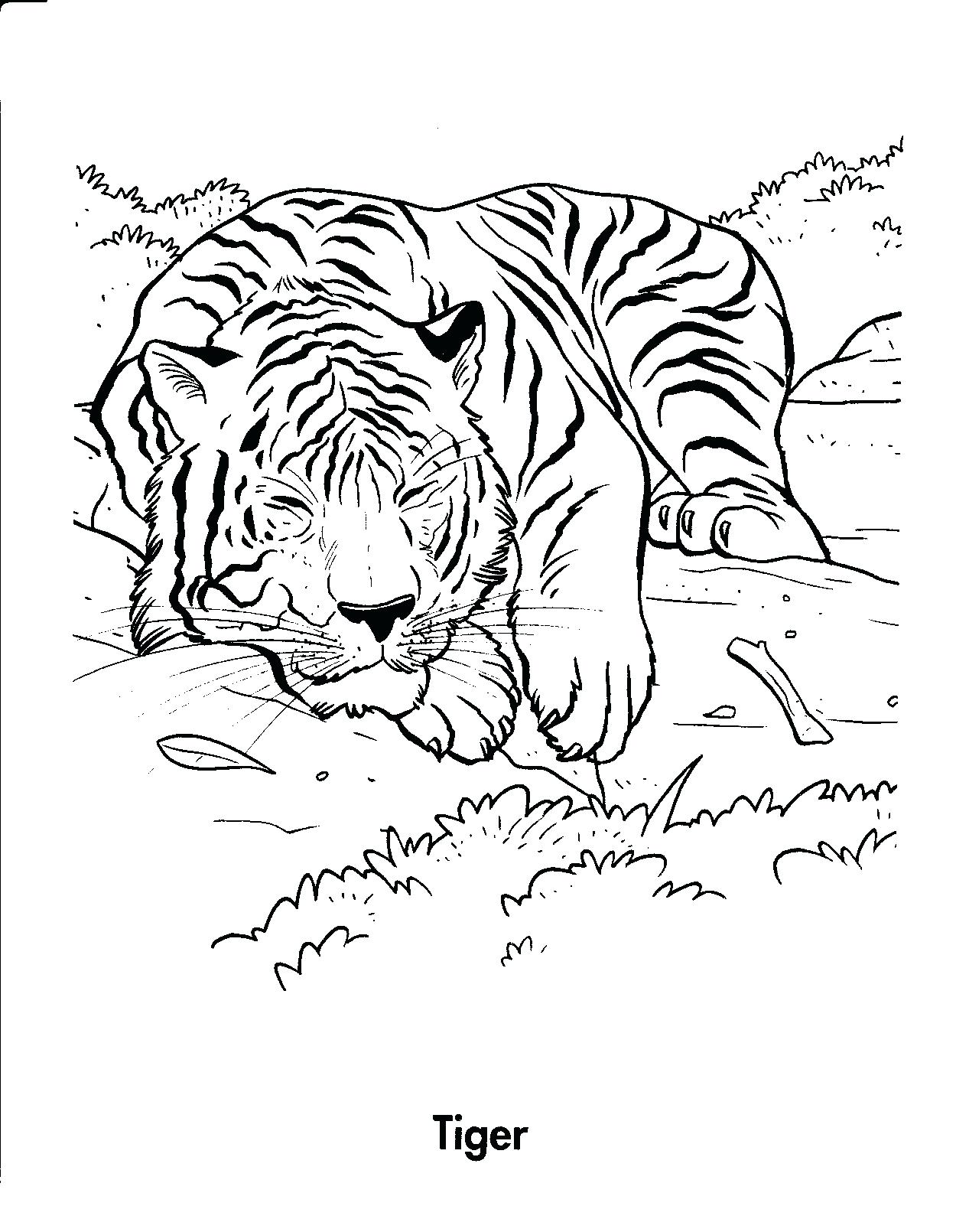 1250x1610 Coloring Pages ~ Tiger Coloring Pages Click The Laying Down Shark