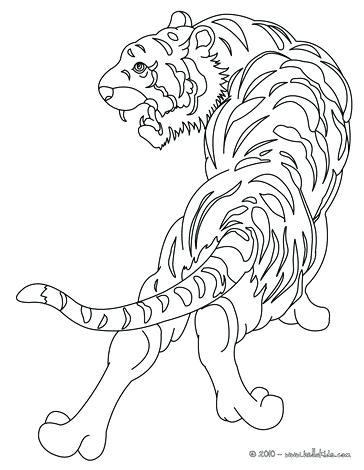 Bengal Tiger Coloring Page at GetColorings.com | Free printable ...