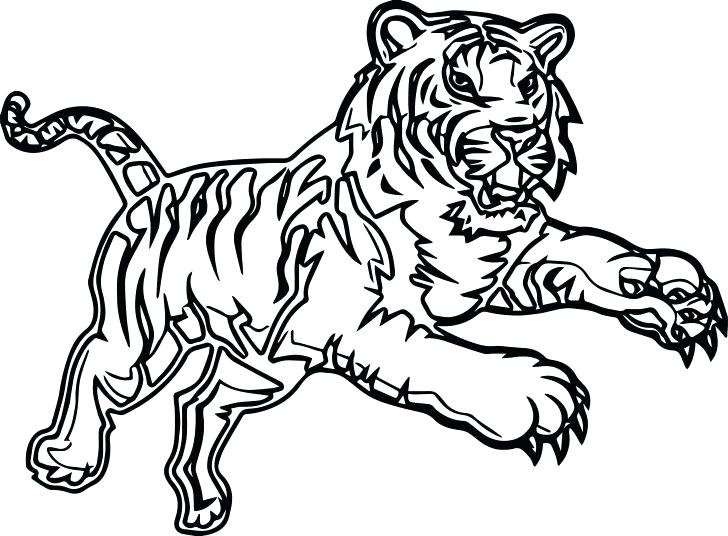 Tiger Coloring Pages Realistic at GetColorings.com | Free printable ...