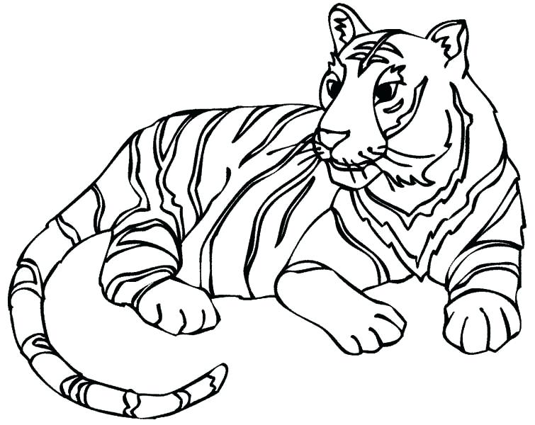Tiger Coloring Pages Realistic at GetColorings.com | Free printable ...