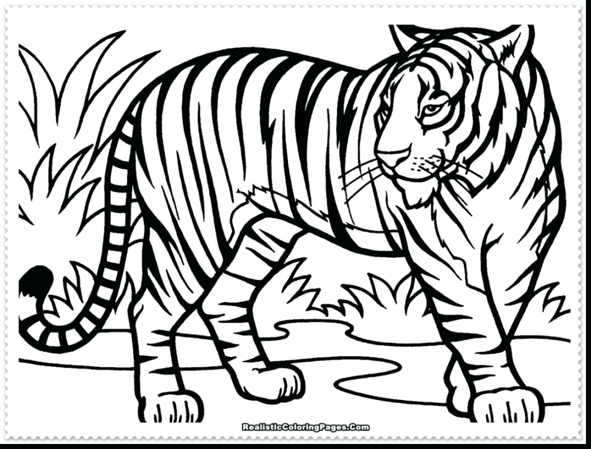1172x891 Coloring Pages ~ Tiger Coloring Page Cartoon Best Without Stripes
