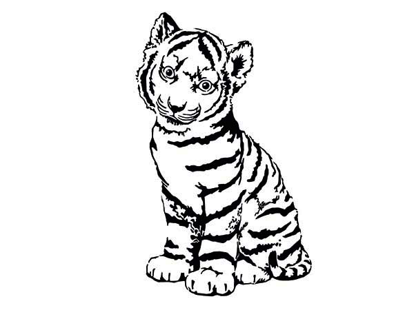 Tiger Cub Coloring Pages