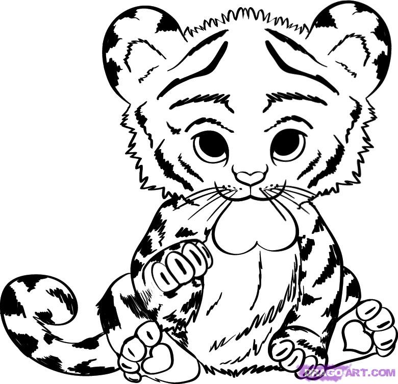 780x752 Cute Baby Tiger Coloring Pages Animals