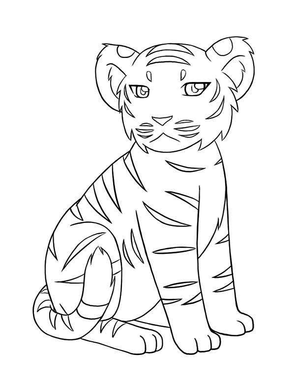 600x776 A Little Tiger Cub Not In A Good Mood Today Coloring Page