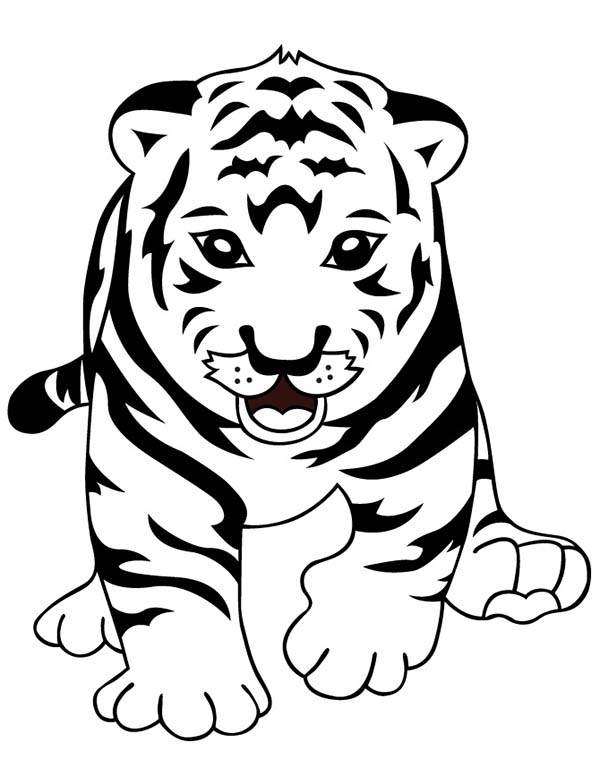 600x776 Cute Tiger Cub Coloring Pages