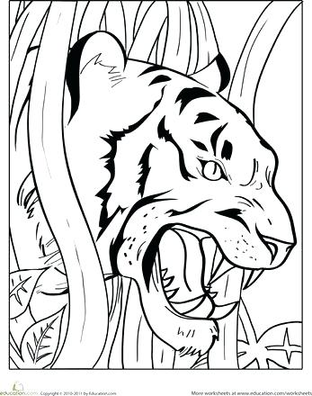 347x440 Tiger Coloring Pages Drawn Tiger Coloring Page 6 Cute Tiger Cub
