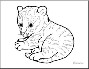 304x236 Baby Tiger Coloring Pages Clip Art Baby Animals Tiger Cub Coloring