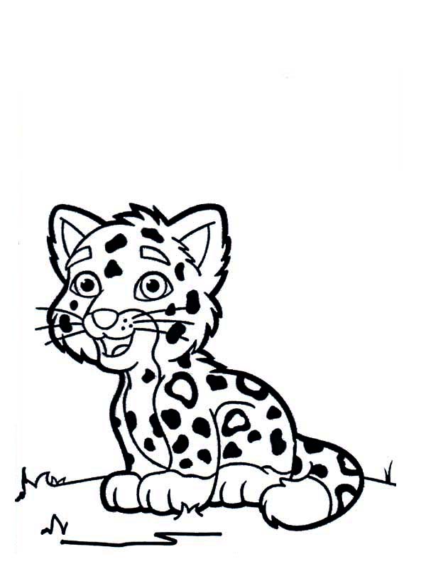 600x800 Cartoon Drawing Of A Cute Tiger Cub Coloring Page