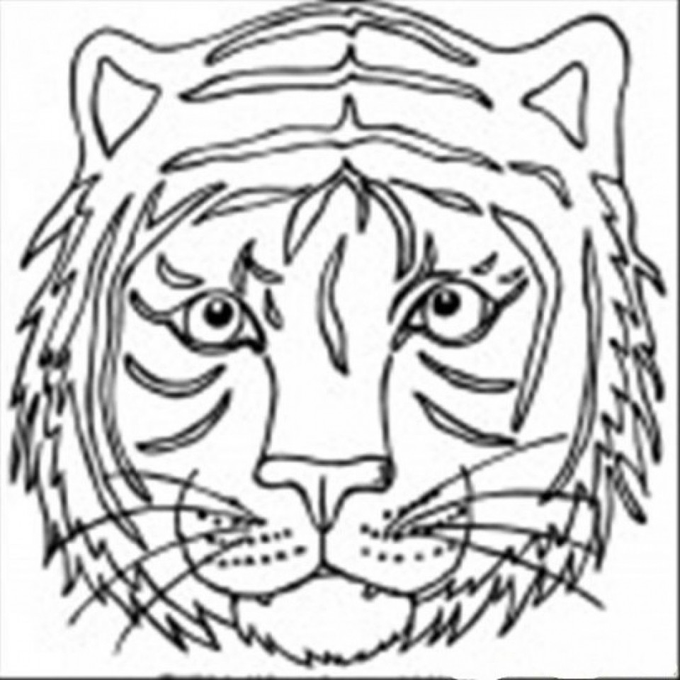 960x960 New Coloring Pages Of Tiger Face Copy Big Page Arresting Mosm