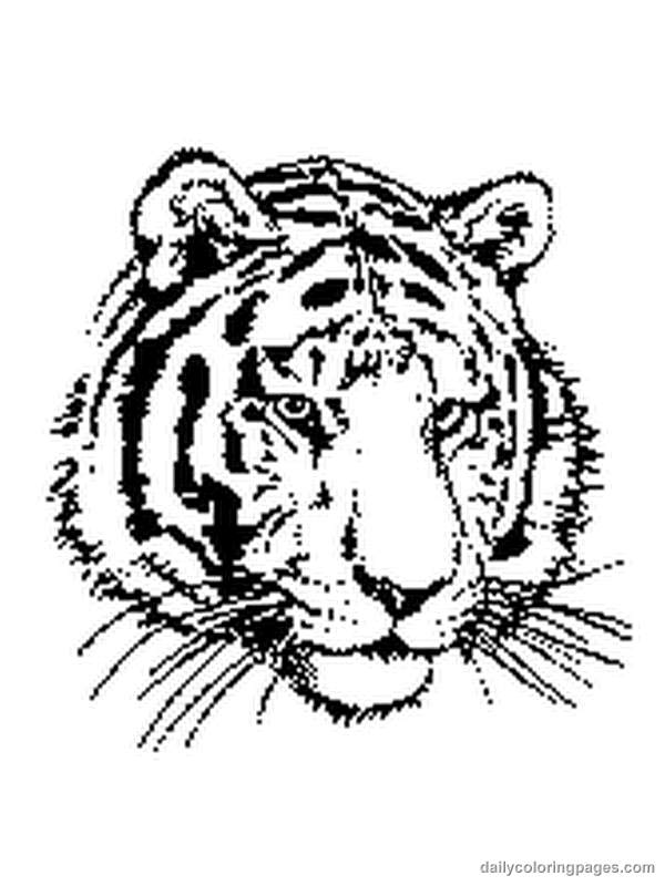 600x800 Tiger Coloring Pages