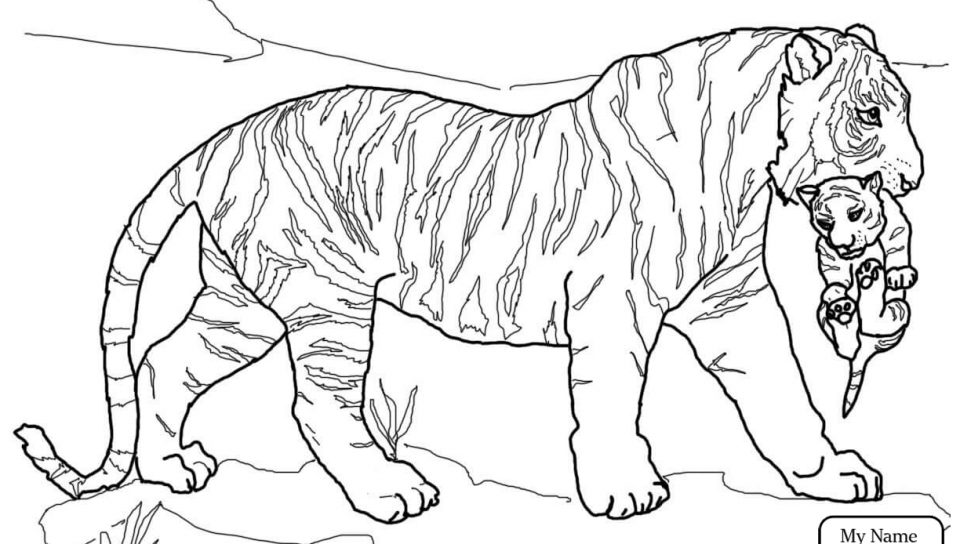 960x544 Tiger Coloring Pagesble Copy T Is For Page Kids Colouring Pictures