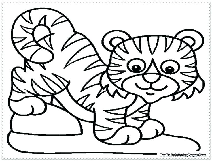 736x558 Tigers Coloring Pages Tiger Cub Coloring Pages Tiger Coloring Page