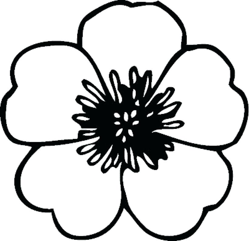 Lily Flower Coloring Pages Lily Pad Coloring Page Frog Coloring 820x793 Lily Flower Coloring Pages Lily Pad Coloring Page Frog Coloring