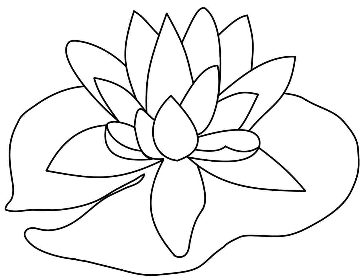 Stargazer Lily Drawing 1264x972 Stargazer Lily Drawing