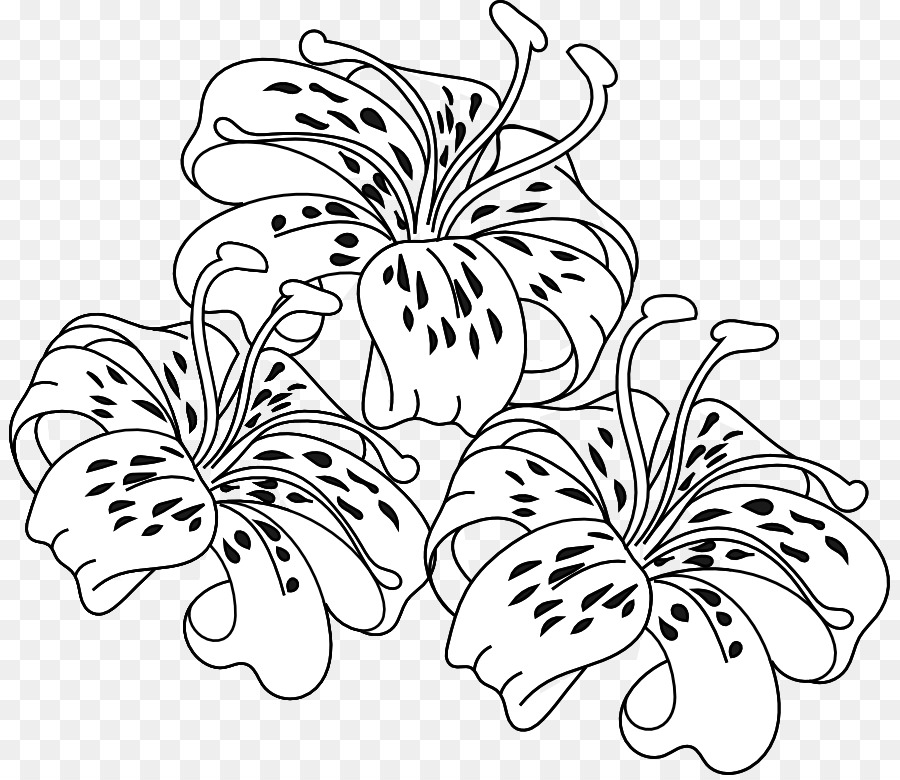 Tiger Lily Easter Lily Coloring Book Flower 900x780 Tiger Lily Easter Lily Coloring Book Flower