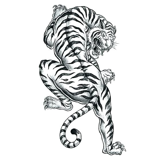 Tiger Mandala Coloring Pages at GetColorings.com | Free printable ...