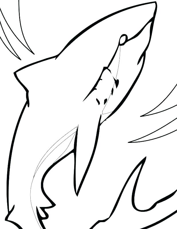 Shark Coloring Book Pages Coloring Pages Shark Coloring Pages 618x800 Shark Coloring Book Pages Coloring Pages Shark Coloring Pages