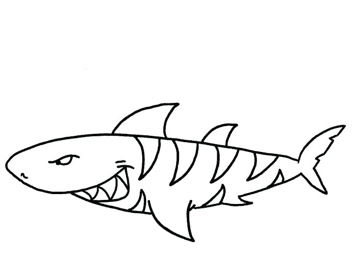Shark Coloring Pages New Tiger Shark Coloring Pages Fee Shark 736x557 Shark Coloring Pages New Tiger Shark Coloring Pages Fee Shark