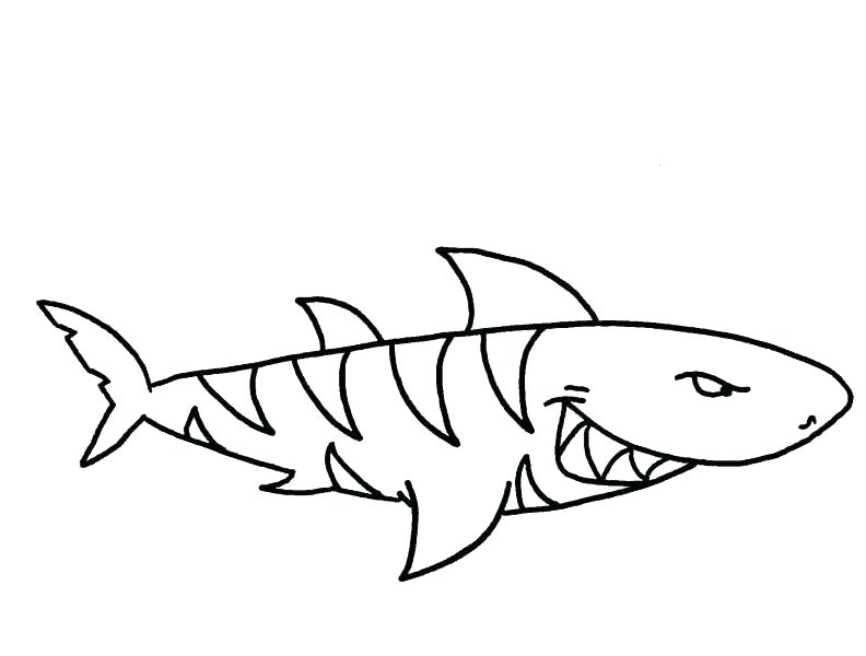 Shark Printable Coloring Pages Shark Coloring Pages Printable 792x600 Shark Printable Coloring Pages Shark Coloring Pages Printable