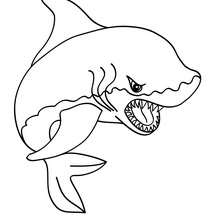 Tiger Shark Coloring Pages 220x220 Tiger Shark Coloring Pages