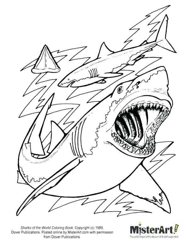 Whale Shark Coloring Page Whale Shark Coloring Page Tiger Shark 591x770 Whale Shark Coloring Page Whale Shark Coloring Page Tiger Shark